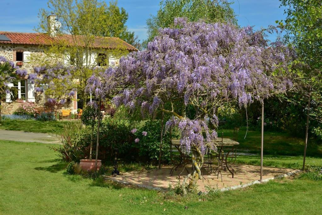 La Frapperie Bed and Breakfast La Pommeraie-sur-Sèvre Eksteriør billede