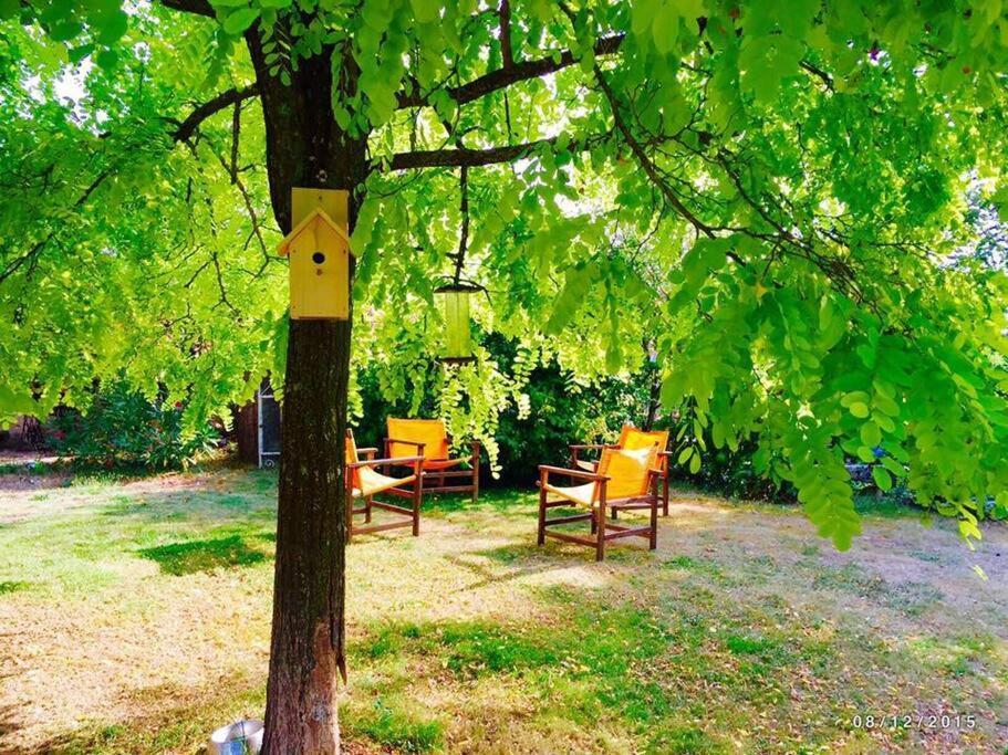 La Frapperie Bed and Breakfast La Pommeraie-sur-Sèvre Eksteriør billede