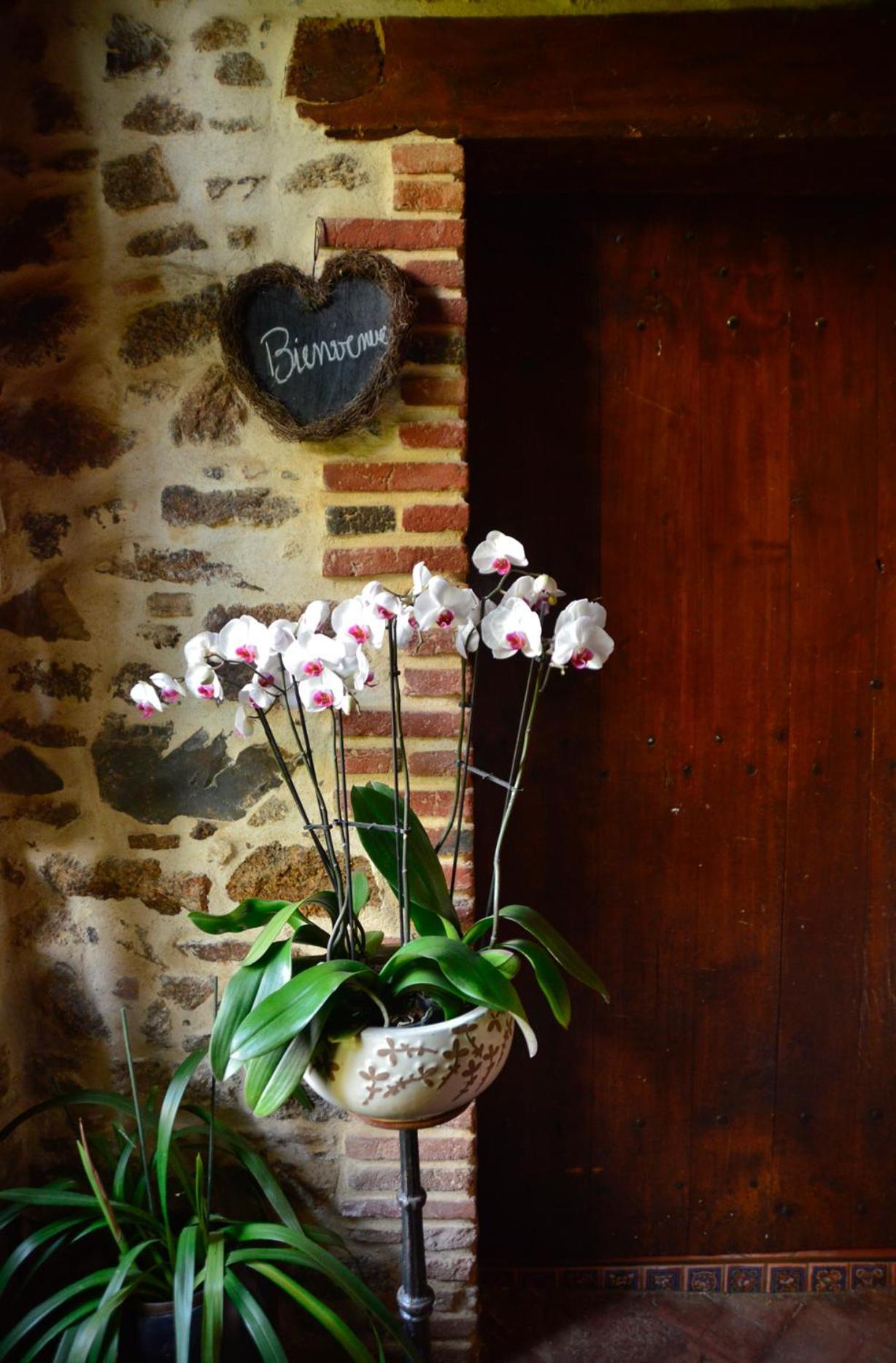 La Frapperie Bed and Breakfast La Pommeraie-sur-Sèvre Eksteriør billede